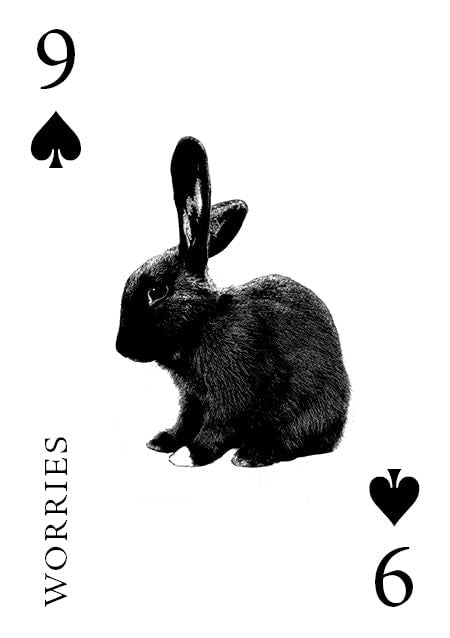 Playing card with a rabbit illustration and text '9 Worries 6' on a white background
