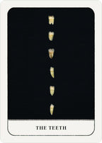 A tarot card titled 'THE TEETH' featuring seven human teeth aligned vertically on a black background, with a white border and card frame.