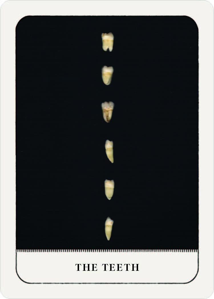 A tarot card titled 'THE TEETH' featuring seven human teeth aligned vertically on a black background, with a white border and card frame.