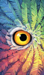 Close-up of an owl's eye surrounded by colorful feathers