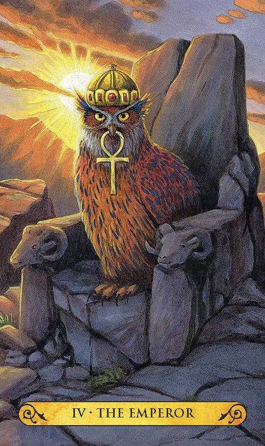 Illustrated tarot card titled 'IV - THE EMPEROR' showing a crowned owl seated on a stone throne with a sunburst behind it, rocks and ram heads in the foreground, and a gold banner at the bottom.
