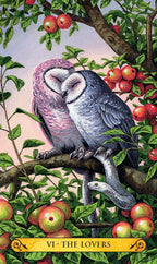 A vintage-style tarot card illustration titled 'VI. THE LOVERS' showing two owls embracing on an apple tree branch, surrounded by red apples and green leaves, with a yellow banner at the bottom.