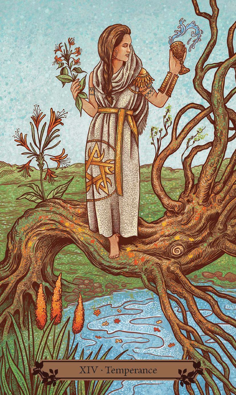 Tarot card featuring a figure standing on a tree branch with plants and water below, labeled 'XIV - Temperance'.