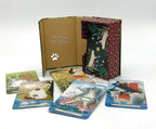 Set of cat-themed cards with a wooden box on a white background