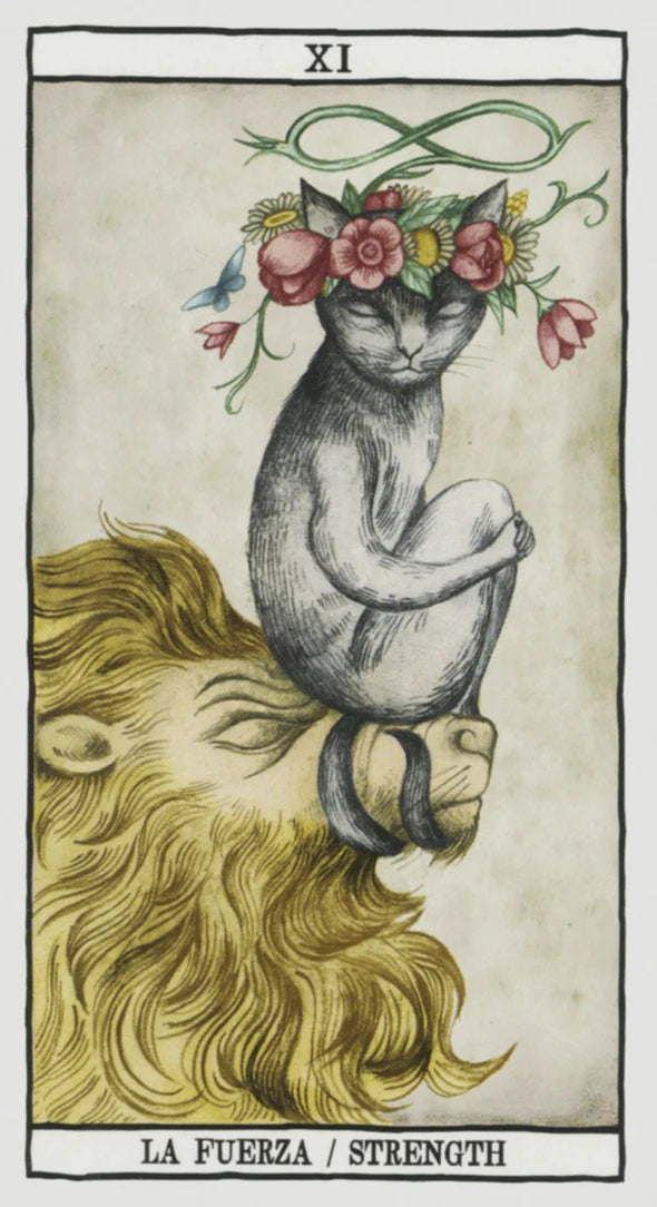A tarot-style illustration labeled 'XI' at the top and 'LA FUERZA / STRENGTH' at the bottom, showing a gray cat sitting on a lion's head with flowers around its head on an aged beige background.