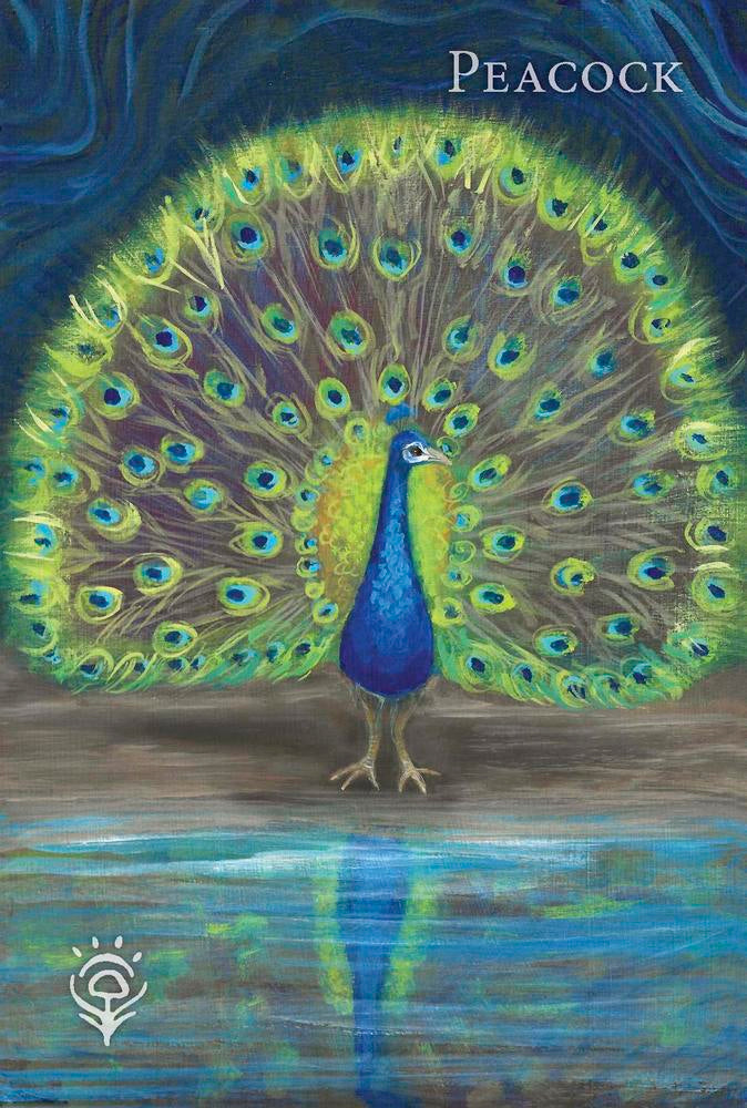 Artistic depiction of a peacock with its feathers spread wide, standing on a reflective surface.