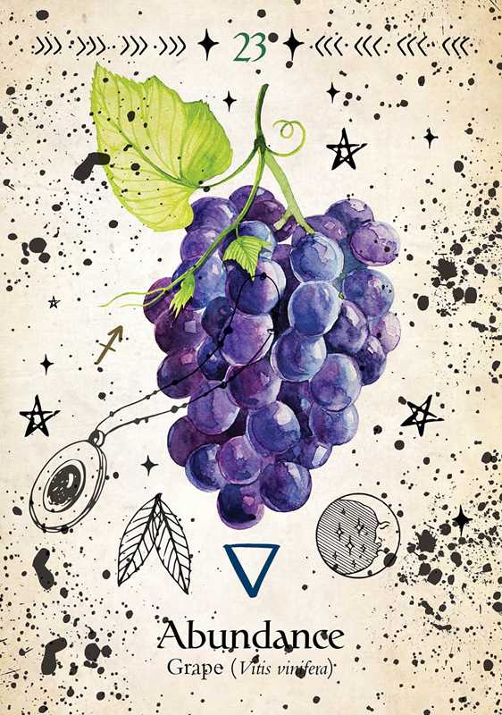 Green Witch Oracle Cards