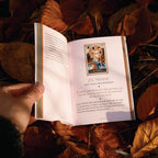 Open book held over autumn leaves with a person's hand