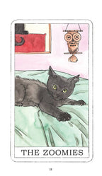 Illustration of a cat labeled 'The Zoomies' with an owl and red box in the background.