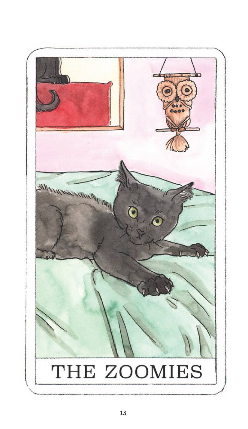 Illustration of a cat labeled 'The Zoomies' with an owl and red box in the background.