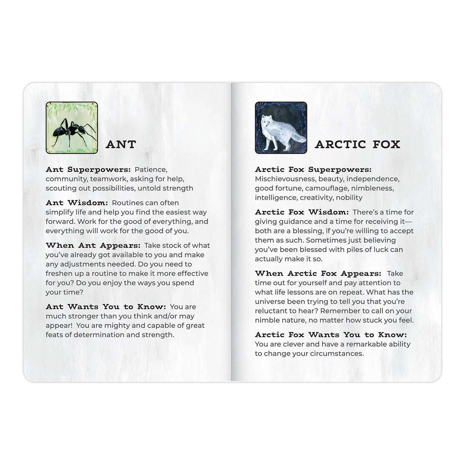 Card with Ant and Arctic Fox illustrations and descriptions on a white background