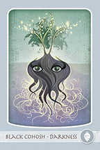Illustration of a plant with eyes and roots on a textured background, labeled 'Black Cohosh - Darkness'.