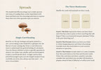 Instructions for a card reading game with mushroom imagery and text on a white background