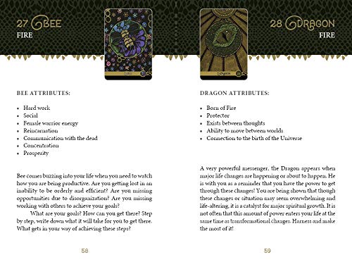 Two tarot cards labeled 'Bee' and 'Dragon' with attributes listed below each card on a black background.