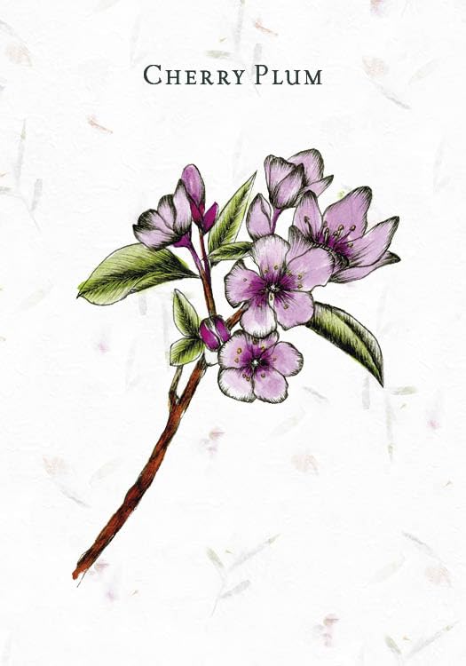 Illustration of a cherry plum branch with flowers on a light background