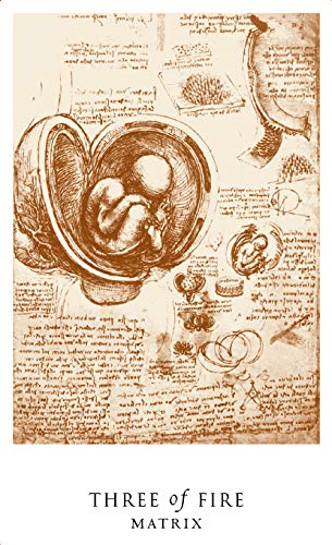 Vintage-style illustration with text and anatomical drawings on a beige background, featuring the title 'Three of Fire Matrix'.