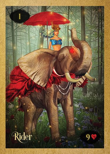 Card featuring an elephant and a person with a red umbrella in a forest setting, labeled 'Rider' and number '9'.