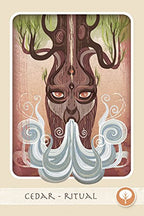 Artistic depiction of a tree-like creature with eyes and swirling patterns, labeled 'Cedar - Ritual'.