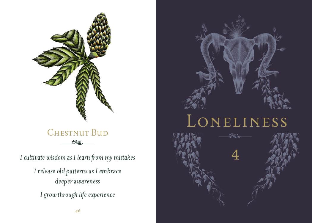 Illustration of a chestnut bud on the left and an abstract design with 'Loneliness' and number 4 on the right, against a white and dark blue background.