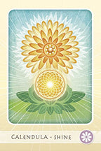 Card with a stylized illustration of a calendula flower on a light background