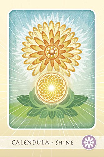 Card with a stylized illustration of a calendula flower on a light background