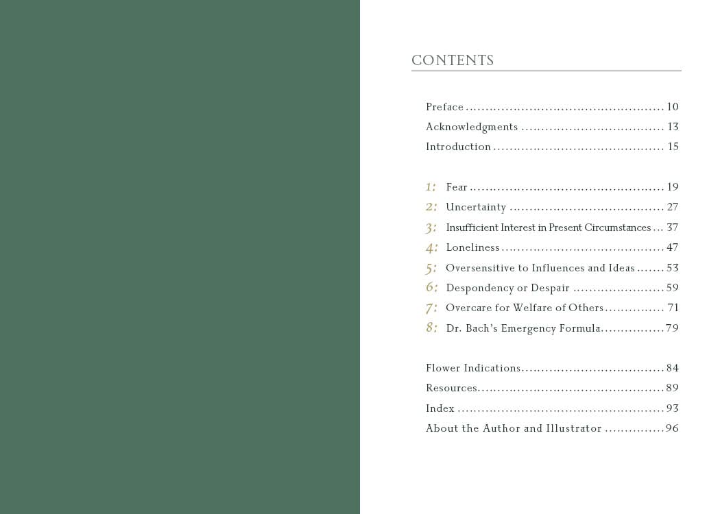 Table of contents page with chapter titles and page numbers on a white background.