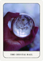 Hand holding a crystal ball with a flower inside against a blurred background