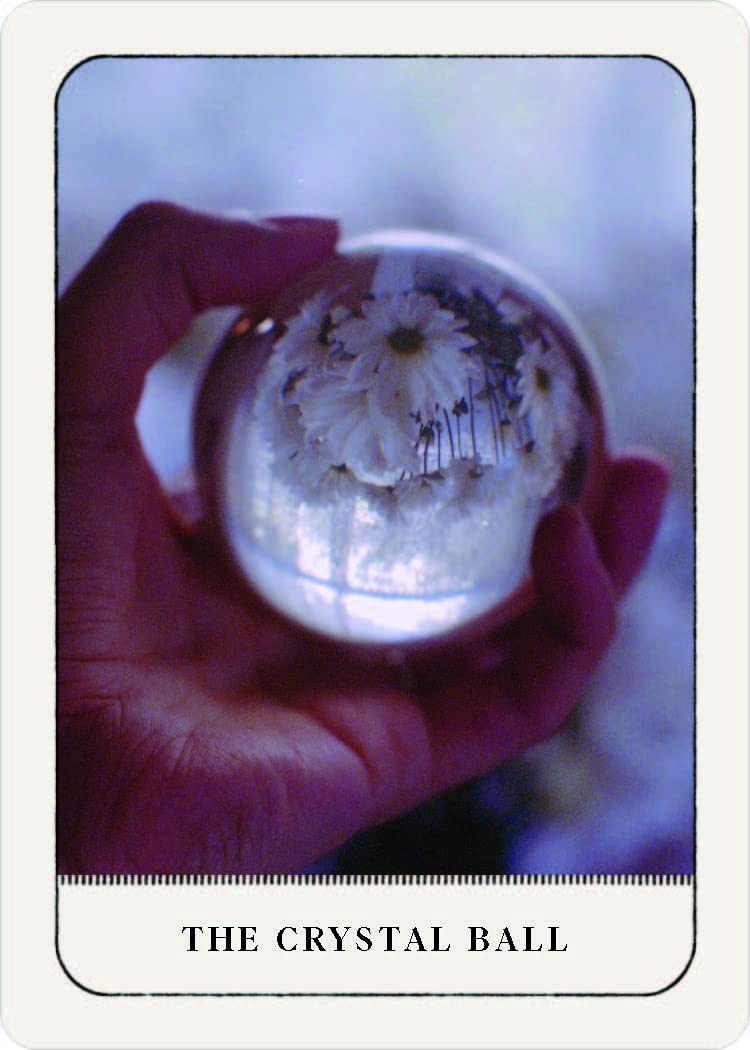 Hand holding a crystal ball with a flower inside against a blurred background