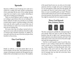 Page from Midnight Magic book about tarot card spreads with text and numbered cards, pages 18-19