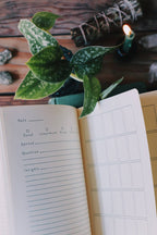 Open notebook with lined pages and a plant on a wooden surface