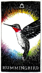 Illustration of a hummingbird with a colorful background and 'Hummingbird' text below.