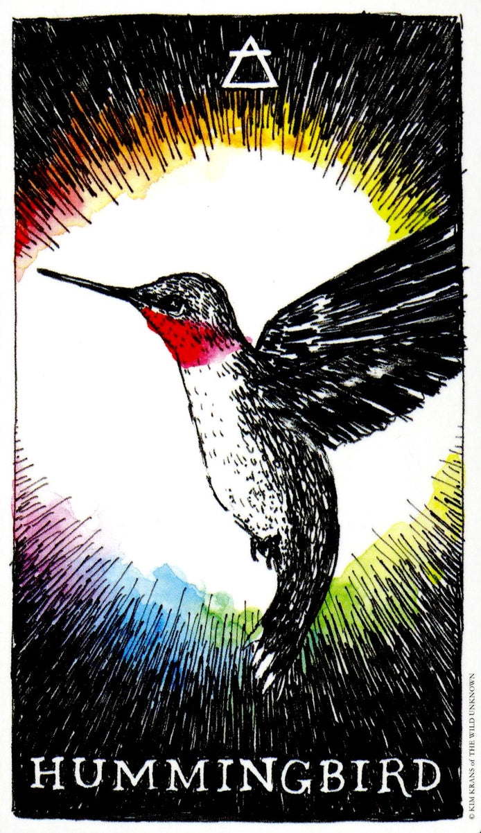 Illustration of a hummingbird with a colorful background and 'Hummingbird' text below.