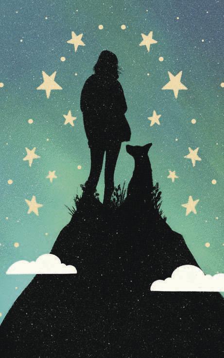 Silhouette of a person and a dog standing on a hill with stars in the sky