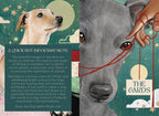 Collage of a dog illustration with text on a green background and a close-up of a deer's eye with a hand holding a string.