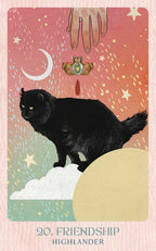 Card with a black cat, hand, and emblem on a colorful background