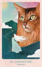 Illustration of a large cat and a person in a raincoat with a rainbow, titled 'Adventure Somali'.