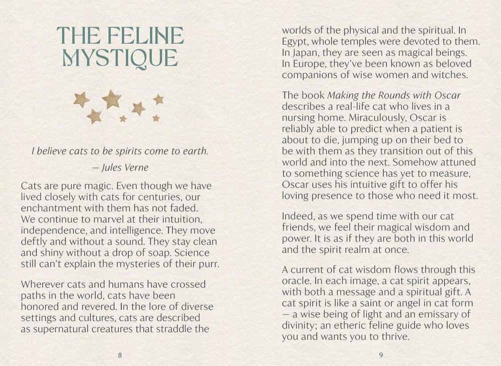 Book page with text about cats and their mystique, featuring a quote by Jules Verne.