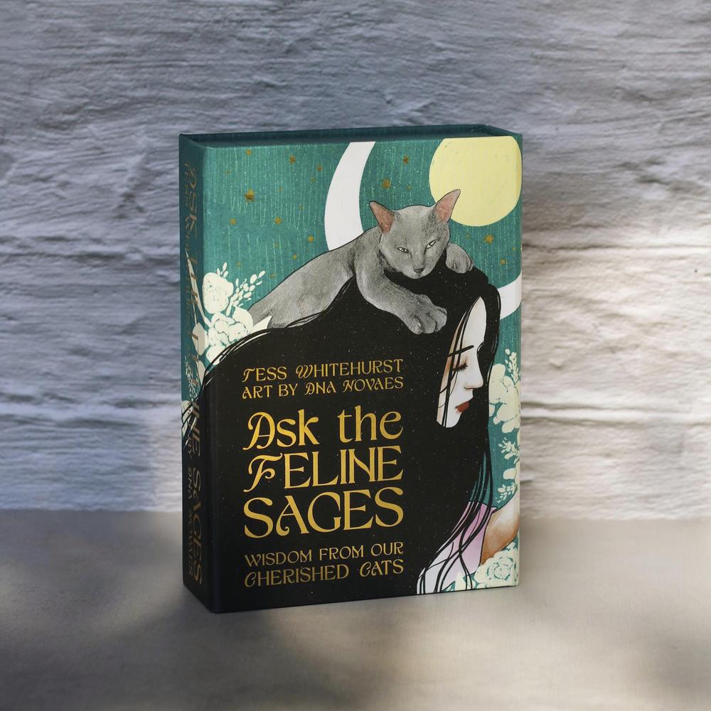 Book titled 'Ask the Feline Sages' with a cat illustration on the cover, placed on a textured surface.
