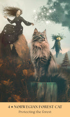 Cats, A Mystical Oracle