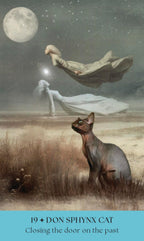 Cats, A Mystical Oracle