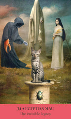 Cats, A Mystical Oracle