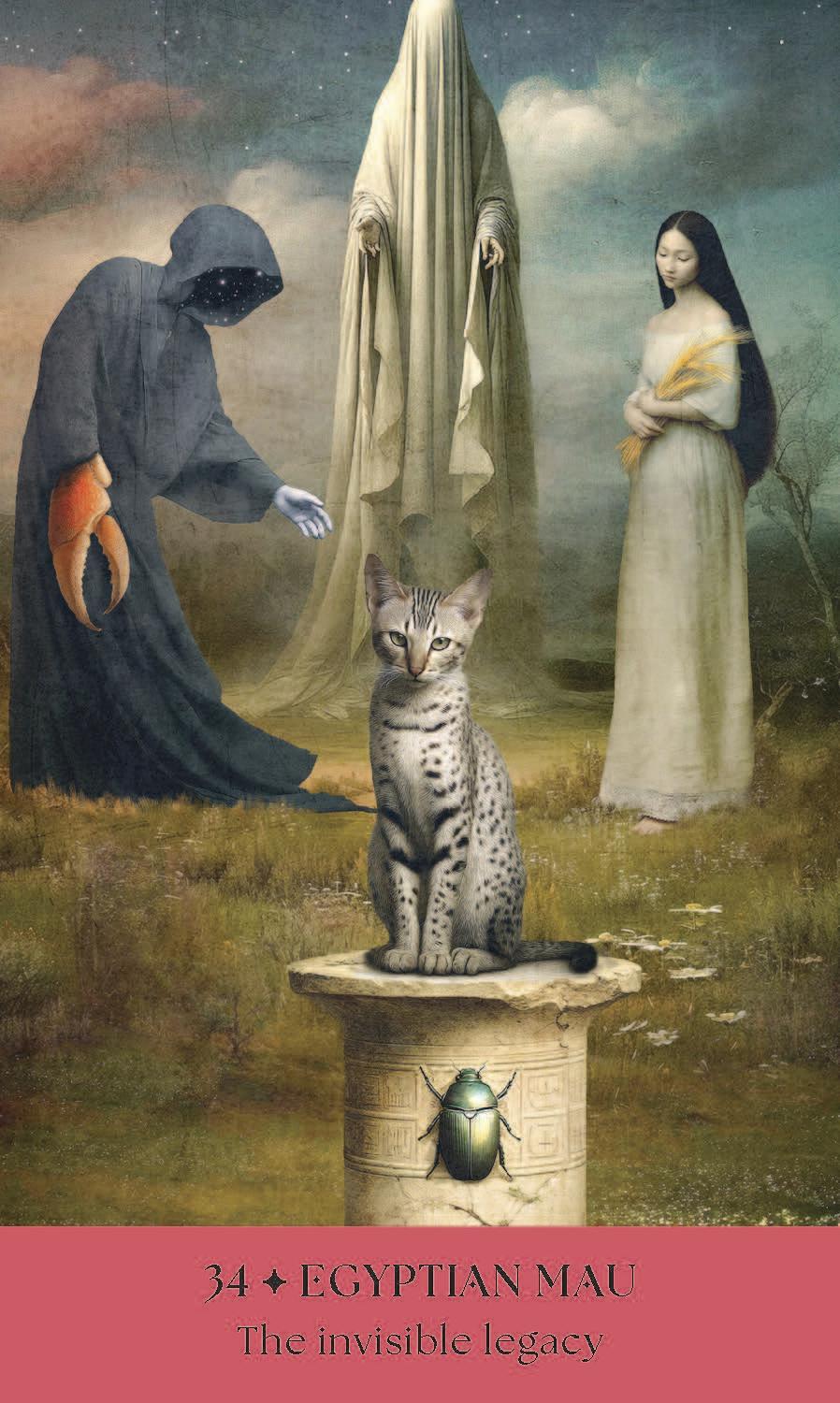 Cats, A Mystical Oracle