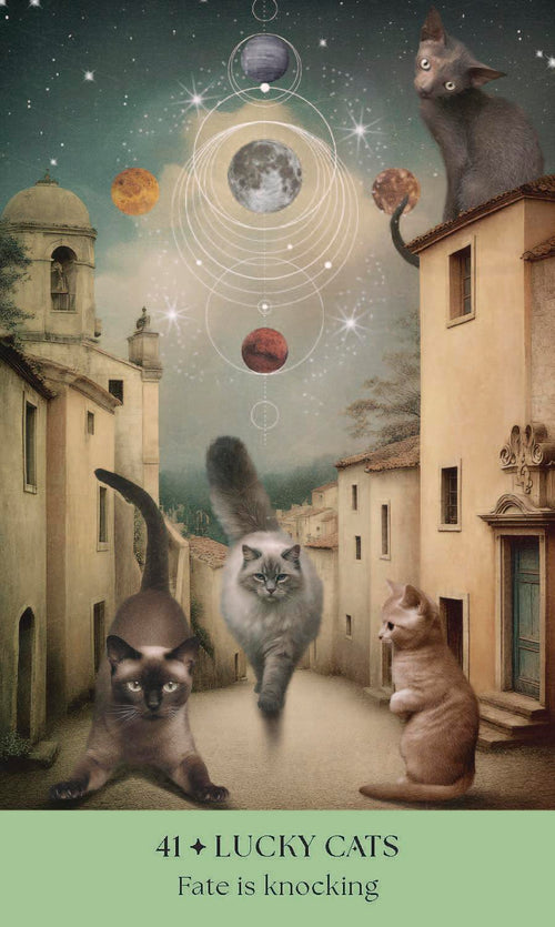 Cats, A Mystical Oracle