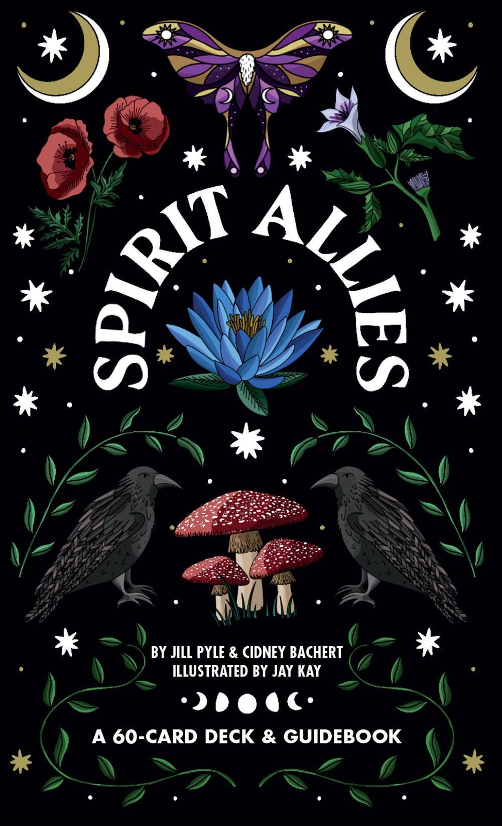 Book cover of 'Spirit Allies' with illustrations of flowers, mushrooms, and birds on a black background.