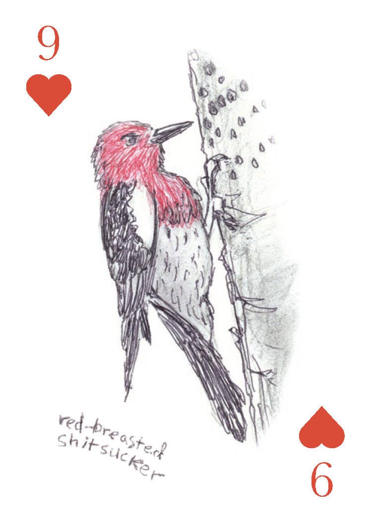 Card with a red-breasted sapsucker illustration and text on a white background