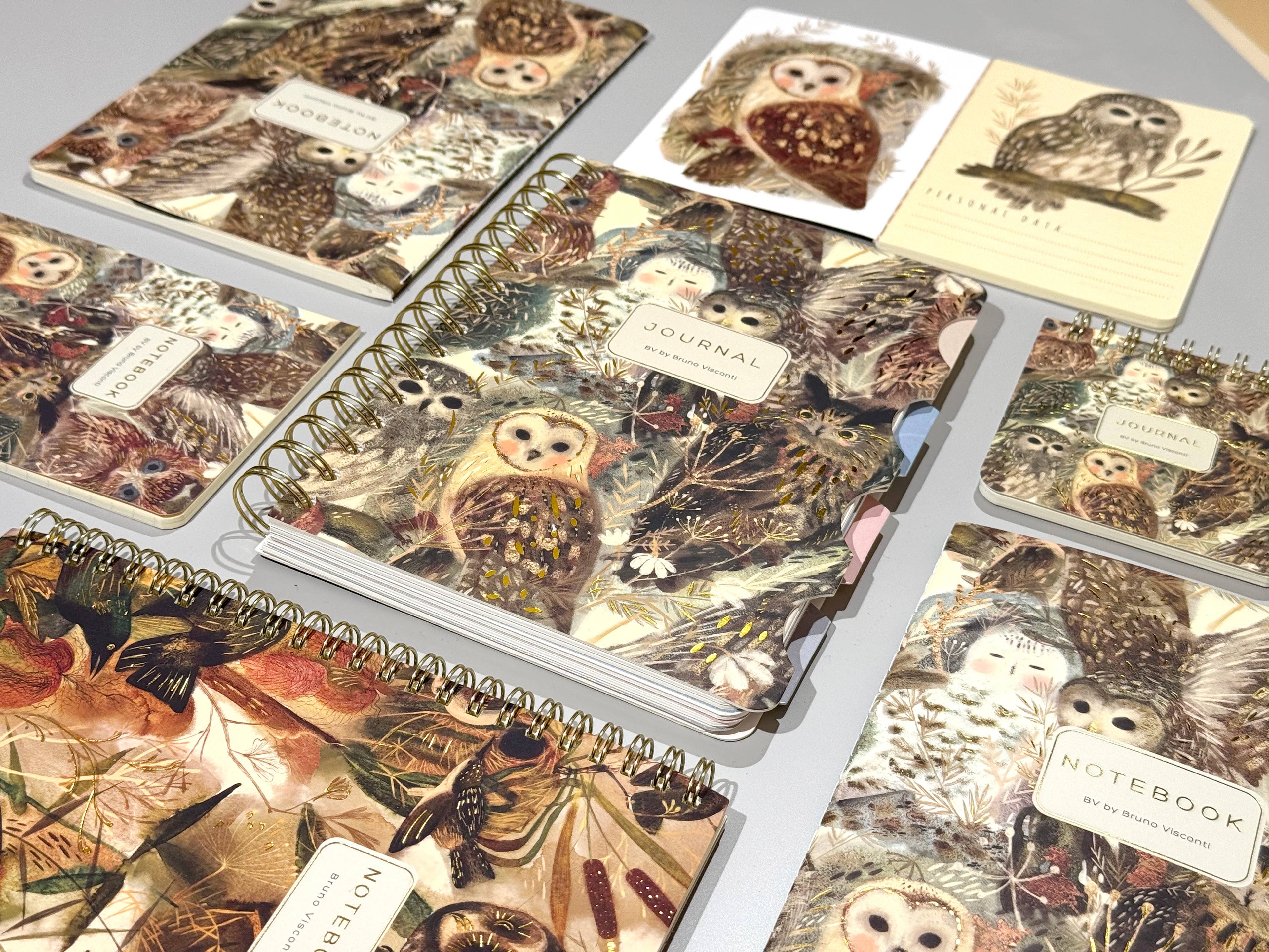 Notebooks with owl illustrations on a gray surface