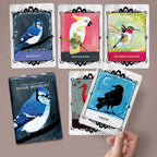 Set of cards with bird illustrations and a guide booklet on a brown background