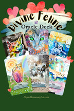 Divine Feline Oracle Deck art display featuring five illustrated oracle cards with colorful cats, hearts, and decorative text on a dark green background.