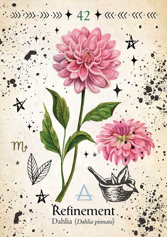 Green Witch Oracle Cards