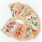 A fan arrangement of illustrated botanical cards on a plain white background. The cards show different plant illustrations and names such as peppermint, cin, turmeric, ginger, aloe, hawthorn, ashwagandha, cannabis sativa, and commander.
